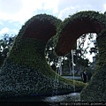 DSCF1185.JPG