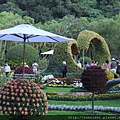 DSCF1186.JPG