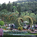 DSCF1187.JPG
