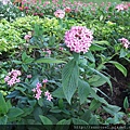 DSCF1190.JPG