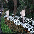 DSCF1194.JPG