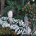 DSCF1195.JPG