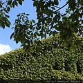 IMG_7387.JPG