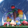 DSCF7959.JPG