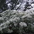 DSCF6924.JPG