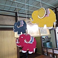 IMG_8547.JPG