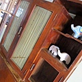 IMG_8554.JPG