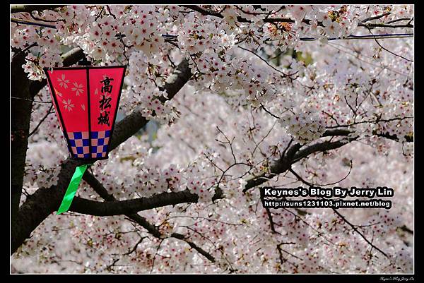 20160406玉藻公園 (20).jpg 20160406玉藻公園 (20).jpg