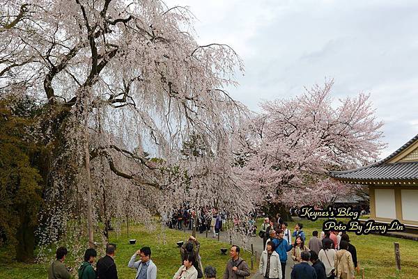 20160403醍醐寺第2篇 (16).JPG