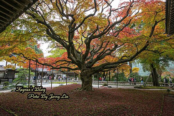 20241122【遊記§福岡】雷山千如寺大悲王院~紅葉