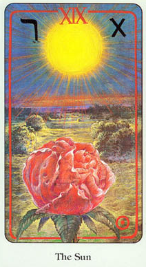 50780305.png 50780305.png