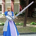 Fate/Zero-Saber (#20