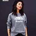 圖10-Roots.jpg