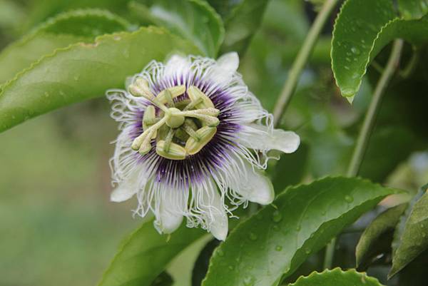 IMG_4542.JPG IMG_4542.JPG