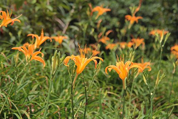 IMG_5469.JPG IMG_5469.JPG