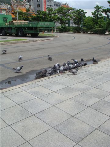 DSC02487.JPG