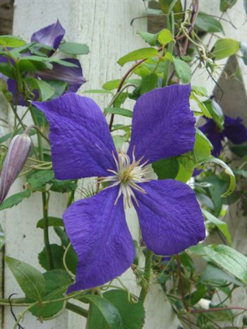 DSC02726.JPG