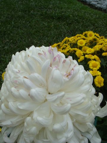 DSC02741.JPG