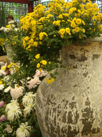DSC02755.JPG