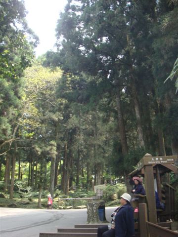 DSC02885.JPG
