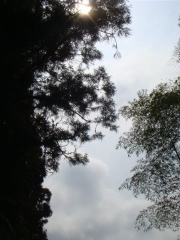 DSC02886.JPG