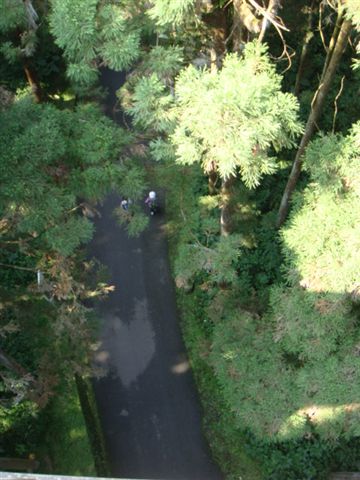 DSC02919.JPG