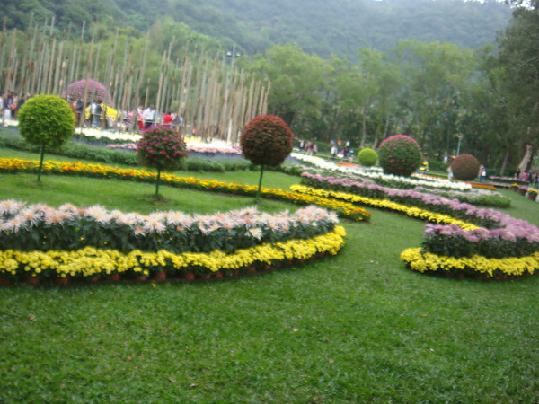 DSC01823.JPG