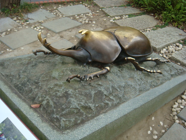DSC01833.JPG
