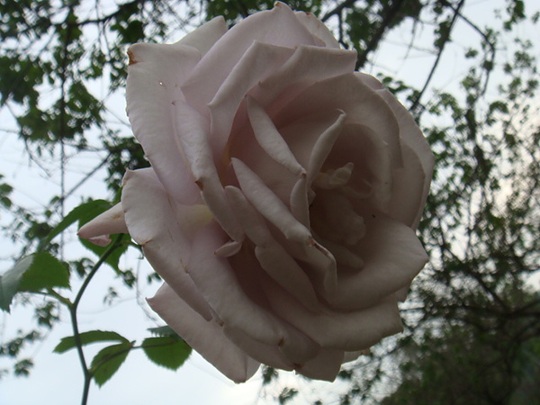 DSC01820.JPG