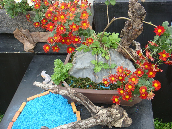 DSC01855.JPG