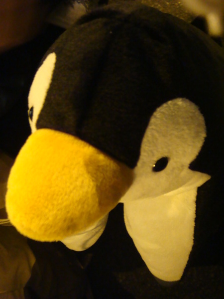 DSC00675.JPG