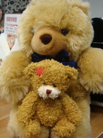 DSC00800.JPG