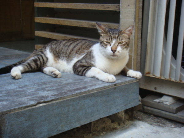 DSC00968.JPG