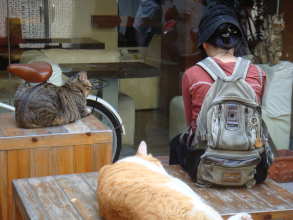 DSC00971.JPG