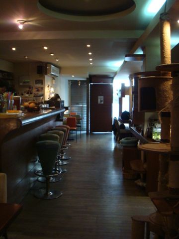 DSC00982.JPG