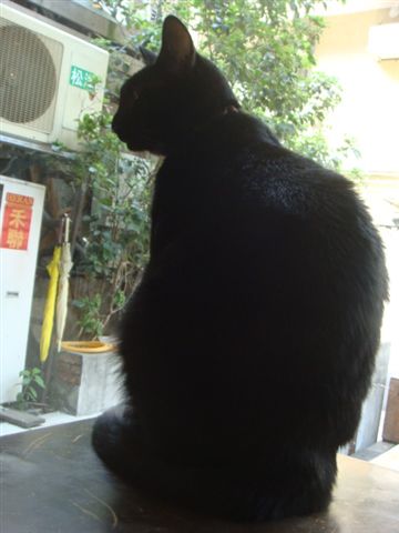 DSC00986.JPG
