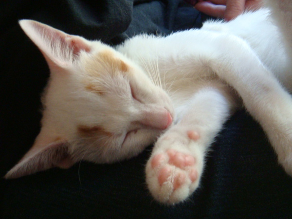 DSC00992.JPG