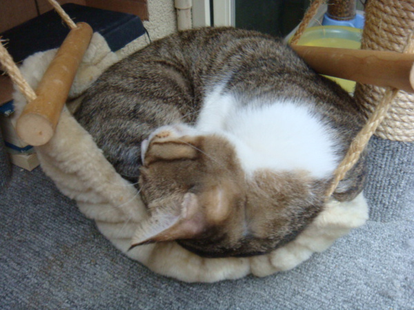 DSC01002.JPG