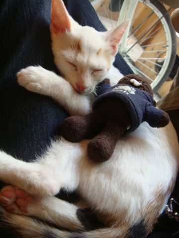 DSC01008.JPG