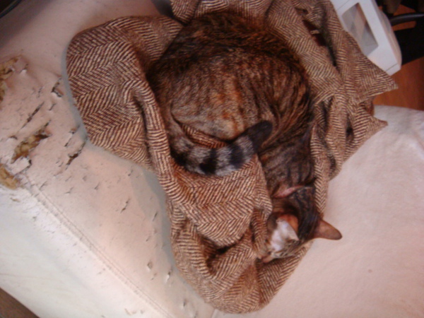 DSC01012.JPG