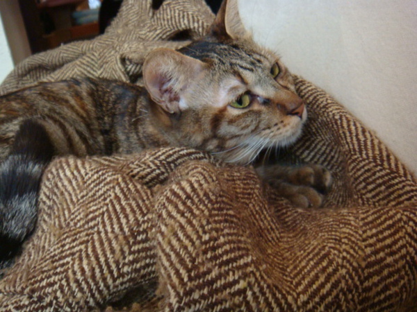 DSC01013.JPG