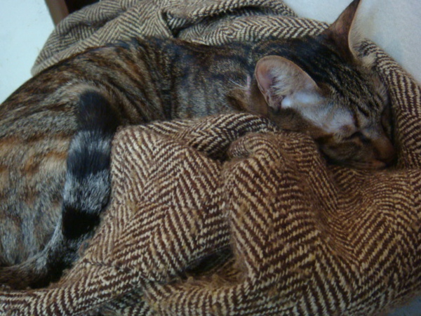 DSC01017.JPG