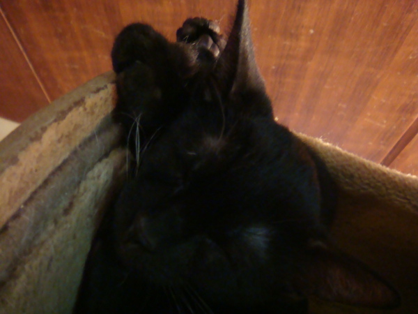 DSC01024.JPG