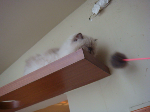 DSC01026.JPG