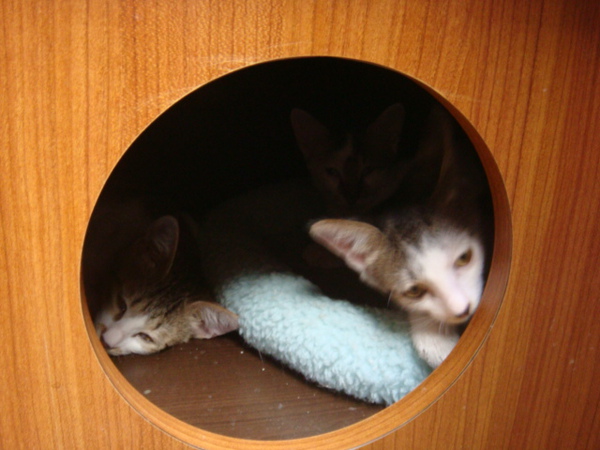 DSC01034.JPG