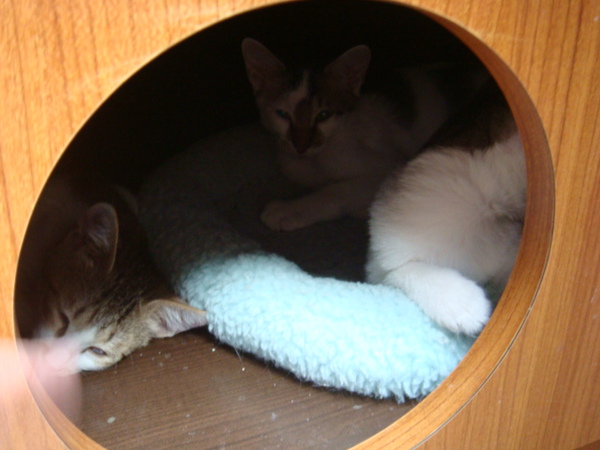 DSC01035.JPG
