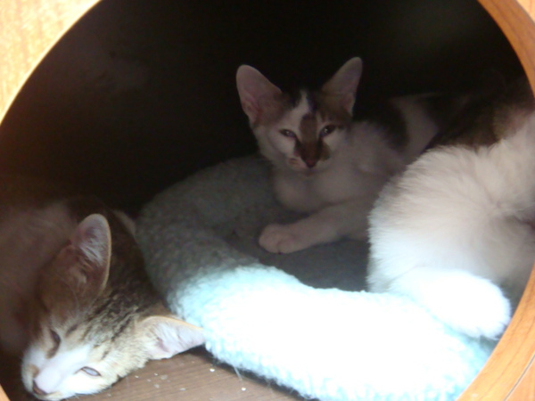 DSC01036.JPG