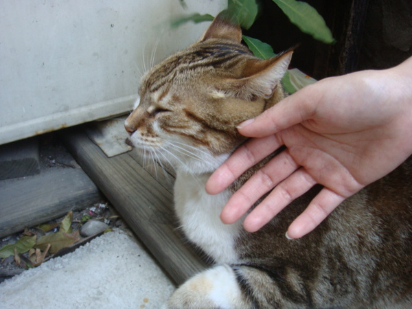 DSC01130.JPG