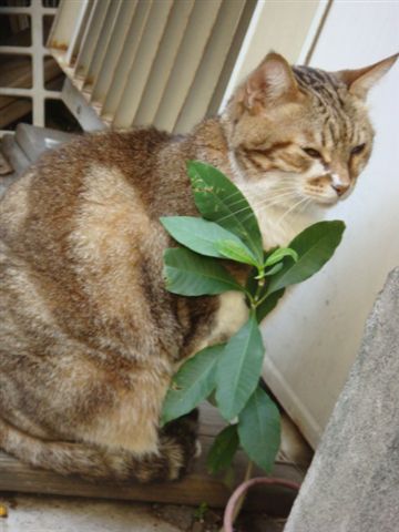 DSC01131.JPG