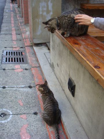 DSC01133.JPG
